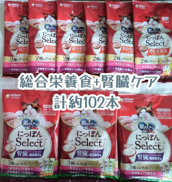 銀のスプーン三ツ星グルメ とろリッチ総合栄養食+腎臓ケア 計約102本★猫のおやつ