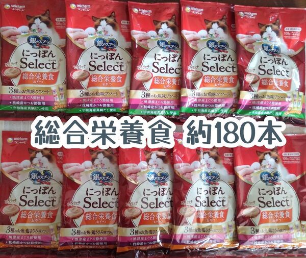 銀のスプーン三ツ星グルメ 総合栄養食 2種 計10袋★猫のおやつ