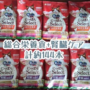 銀のスプーン三ツ星グルメ とろリッチ総合栄養食+腎臓ケア 計約144本★猫のおやつ