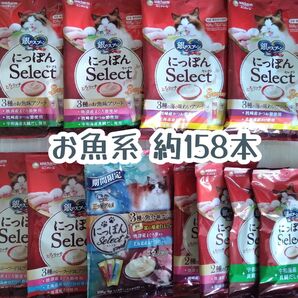 銀のスプーン三ツ星グルメ とろリッチ お魚系 計約158本★猫のおやつ