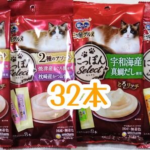 銀のスプーン三ツ星グルメ とろリッチ 計32本★猫のおやつ