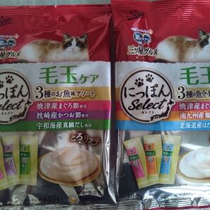 銀のスプーン三ツ星グルメ とろリッチ 毛玉ケア 2種 計2袋★猫のおやつ