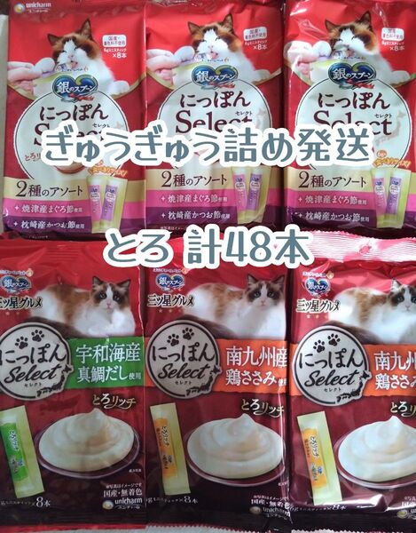 銀のスプーン三ツ星グルメ とろリッチ 6袋 計48本 少しぎゅうぎゅう★猫のおやつ