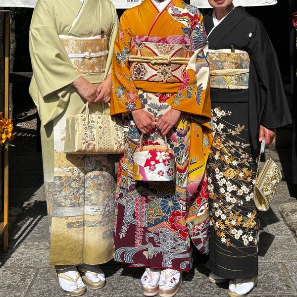 1回着用 寿光織の作家もの色留袖、袋帯、長襦袢、帯揚げ、帯締め、末広のセット 手縫い仕立て 通紋の1つ紋入 身丈164 訪問着にも