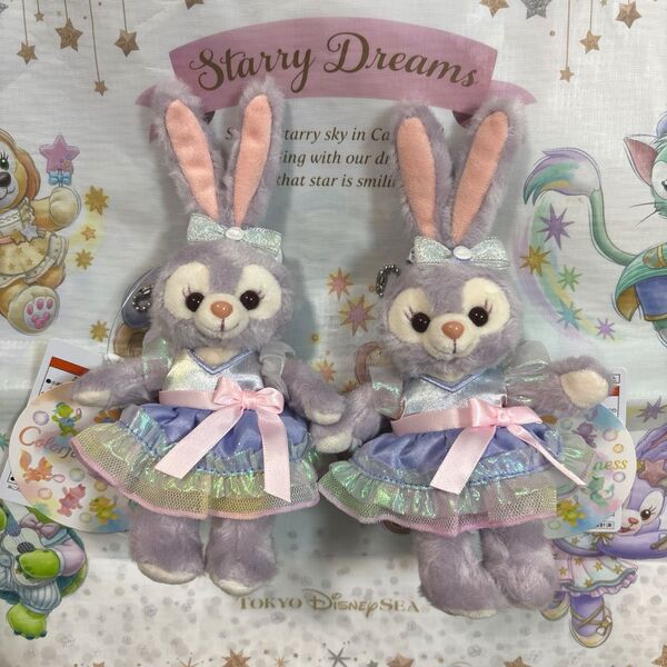 ディズニー カラフルハピネス ステラルー ぬいぐるみバッジ 2点
