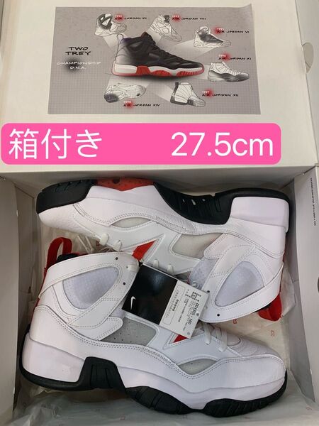 早い者勝ちセール NIKE ナイキ ジョーダン ジャンプマン ツー トレイ DO1925-160 27.5cm
