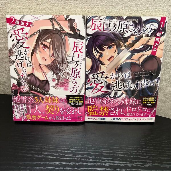 辰巳ヶ原さんの愛からは逃げられない①②巻セット(①巻メロンブックス特典付き)