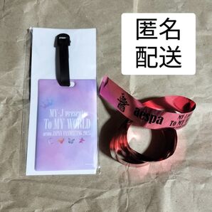 aespa ファンミーティング 特典 お土産 銀テ