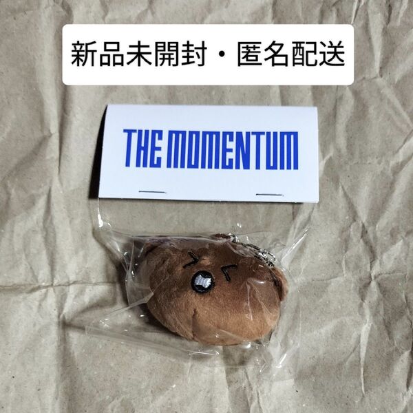 NCT127 THE MOMENTUM モメンタム 東京 直筆 マスコット ぬいぐるみ キーホルダー ヘチャン 公式