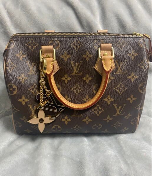 LOUIS VUITTON ルイヴィトン スピーディ25 ハンドバッグ