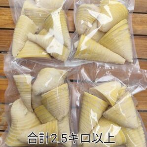 たけのこ水煮4パック+1パック