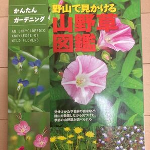 野山で見かける山野草図鑑