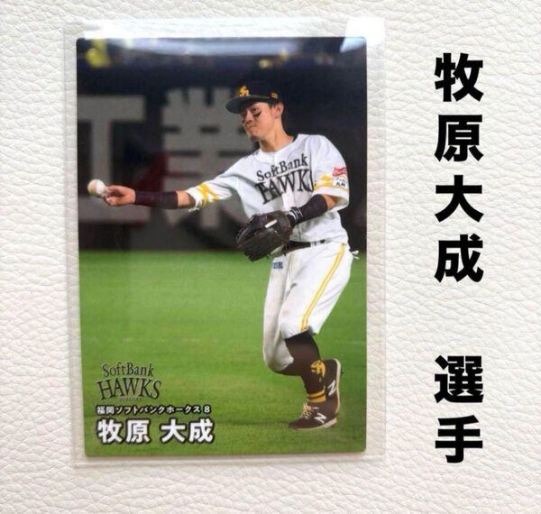 福岡ソフトバンクホークス 牧原大成 プロ野球チップス2025 プロ野球カード カルビー