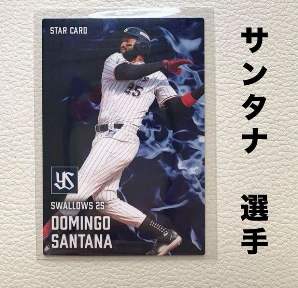 東京ヤクルトスワローズ サンタナ プロ野球チップス2025 スターカード