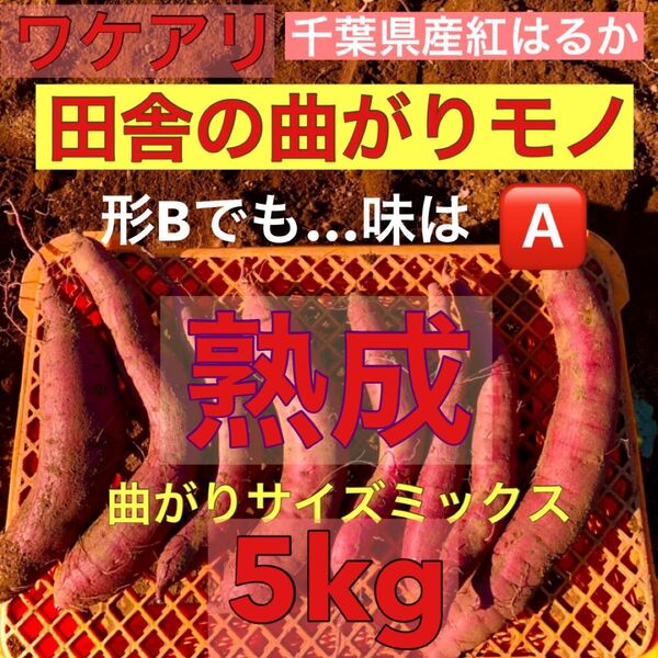セール【数量限定ワケアリ】さつまいも紅はるか 千葉県産 5kg “訳あり"サイズミックス