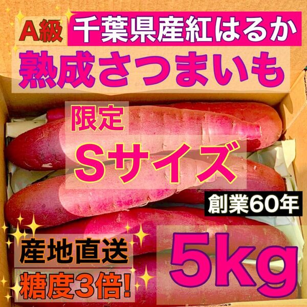 限定 熟成 さつまいも 5kg Sサイズ 千葉県産 紅はるか 土つき