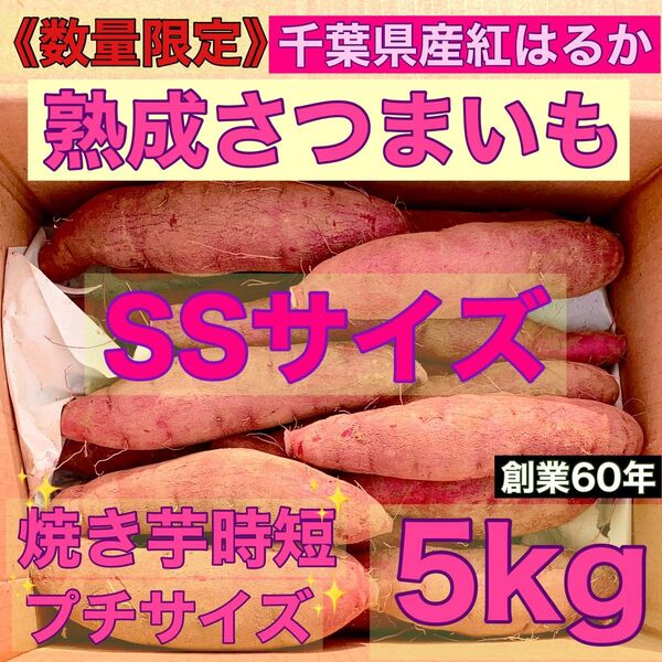 お試し価格 熟成 さつまいも 5kg SSサイズ 千葉県産 紅はるか 土つき