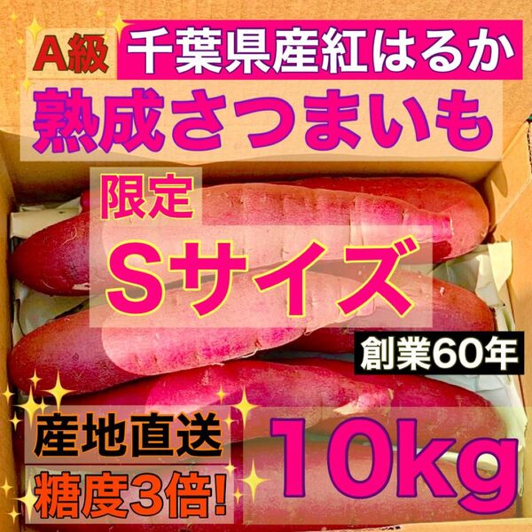 限定 熟成 さつまいも 10kg Sサイズ 千葉県産 紅はるか 土つき