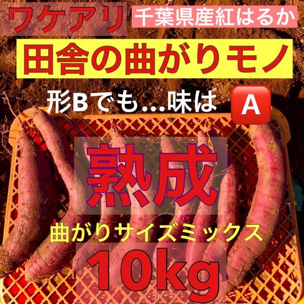 セール【数量限定ワケアリ】さつまいも紅はるか 千葉県産 10kg “訳あり"サイズミックス