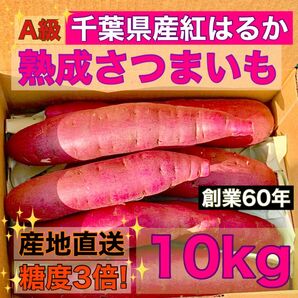 【熟成】さつまいも "A級" 紅はるか 千葉県産 サイズミックス 10kg 土付き