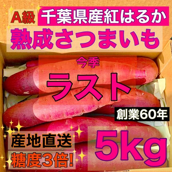 【熟成】さつまいも "A級" 紅はるか 千葉県産 サイズミックス 5kg 土付き