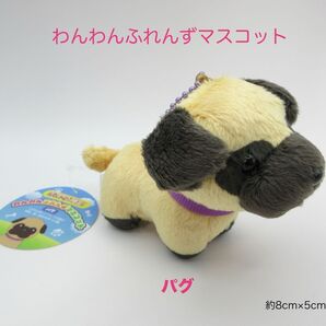 わんわんふれんずマスコット ラウンドワン限定 パグ