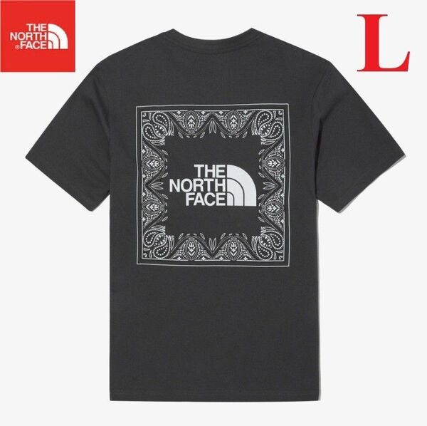 希少! ノースフェイス バンダナ Tシャツ 半袖 ペイズリー L K618B