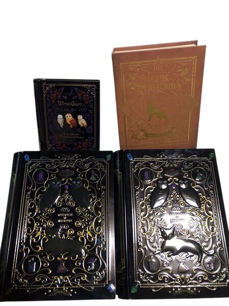 魔法辞書クッキー缶 ミニミニ魔法辞書缶 ブック型ボックス 4個セット カルディ 本型