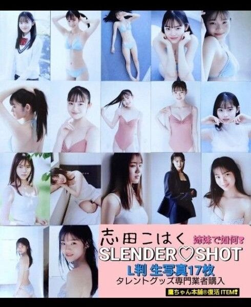 志田こはく『SLENDER SHOT』L判 生写真17枚□タレントグッズ専門業者購入□復活祭限定価格●姉も出品中!姉妹で如何ですか
