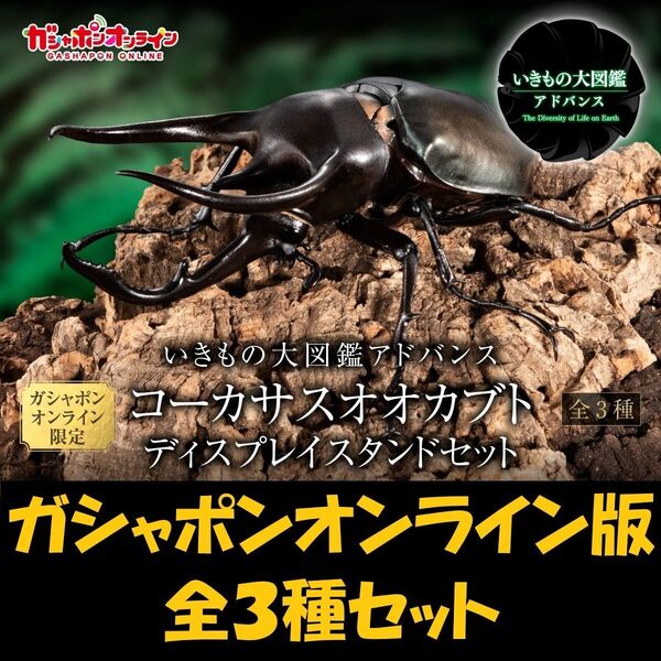 いきもの大図鑑アドバンス コーカサスオオカブト ディスプレイスタンドセット オンライン版全種セット
