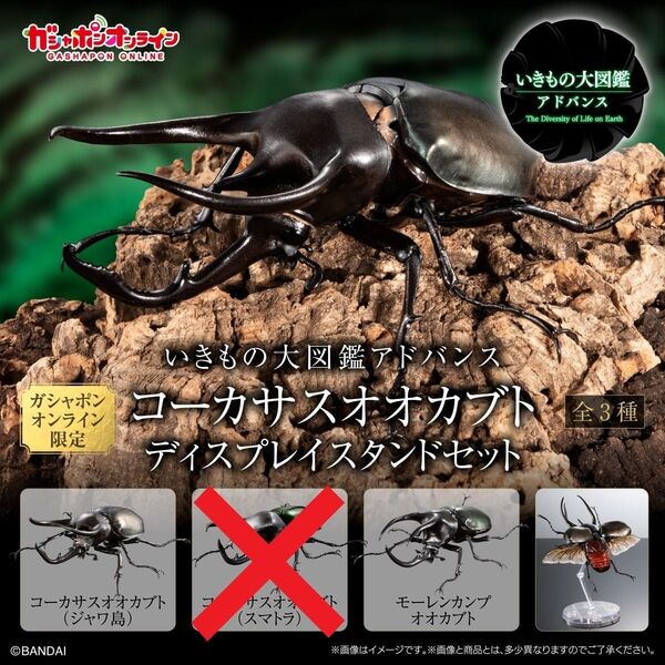 いきもの大図鑑アドバンス コーカサスオオカブト ディスプレイスタンドセット オンライン版 ジャワ島、モーレンカンプセット