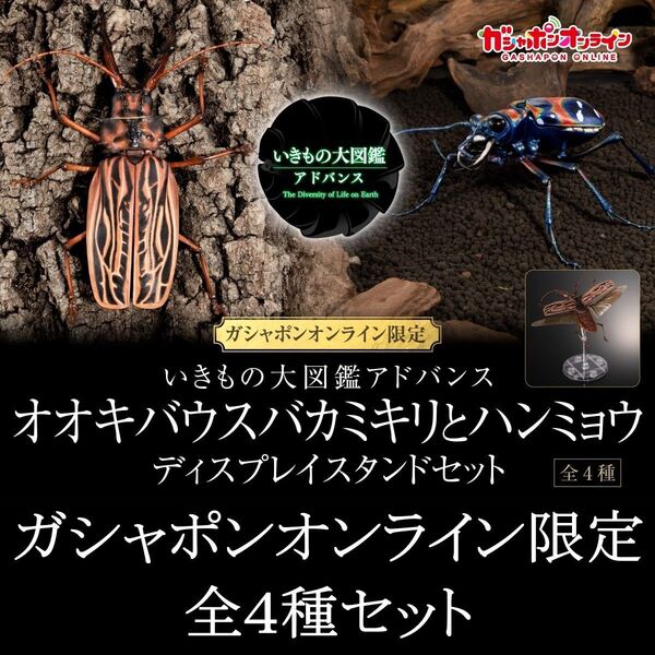 いきもの大図鑑アドバンス オオキバウスバカミキリとハンミョウ ディスプレイスタンドセット 全種類セット