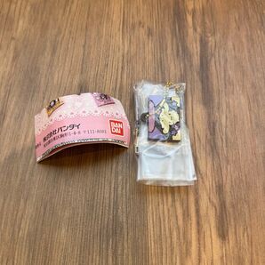 サンリオキャラクターズ キャラパキ ミニチュアコレクションシナモン