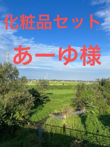 化粧品セット あーゆ様