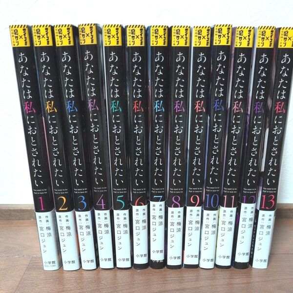 あなたは私におとされたい 1〜13巻 全巻