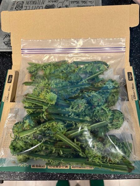 天然こごみ道東産!400g