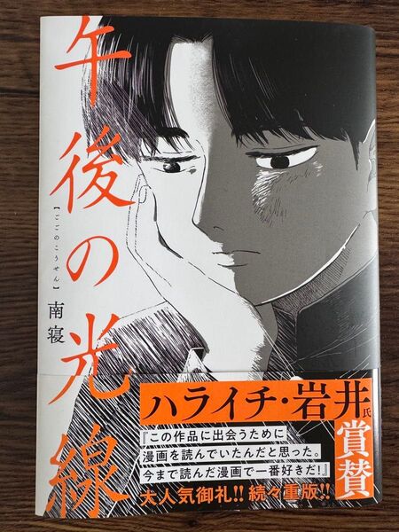 【即発送】午後の光線 南寝 超美品