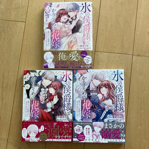 氷の侯爵様とかりそめの花嫁 愛のない王命婚なのに、なぜか溺愛されてます 1.2.3 (FCエトワール) 兎