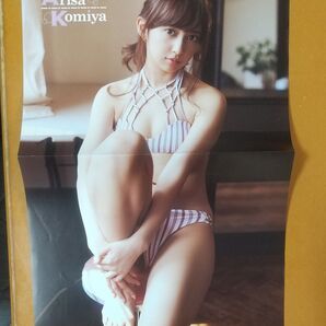 小宮有紗 週刊ヤングマアニマル付録ポスター2017