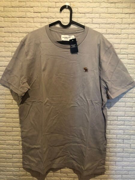 Abercrombie & Fitch Tシャツ グレー XLサイズ 新品未使用