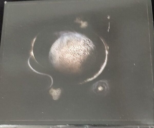 Enthroned Cold Black ブラックメタル ヘヴィメタル cd