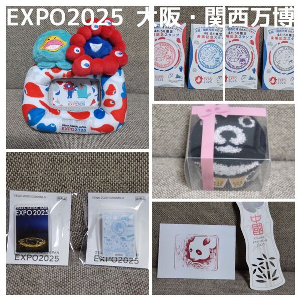 EXPO2025 大阪関西万博 ミャクミャク ミャクミャクハウスピンバッジ他 万博会場限定グッズ おまとめセット