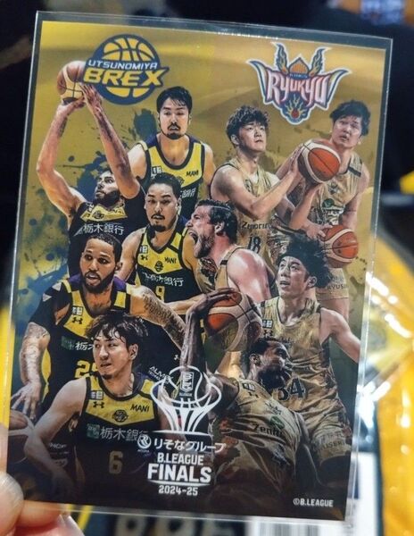 Bリーグ ファイナル 限定品