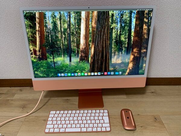 Apple iMac M1 24-inch A2439 office SSD
