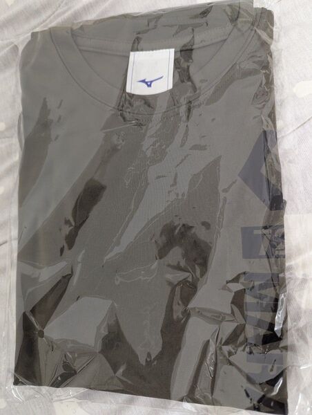 勝田マラソン2025年参加賞 ロングTシャツ Sサイズ
