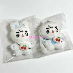 SEVENTEEN エスクプス スンチョル ぬいぐるみ まとめ2点セット
