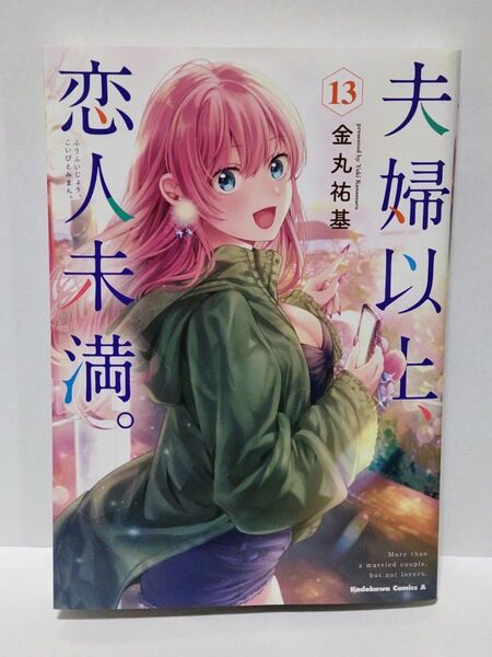 夫婦以上 恋人未満。 13巻 初版