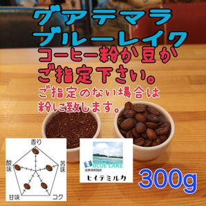 コーヒー粉orコーヒー豆300g ブルーレイク