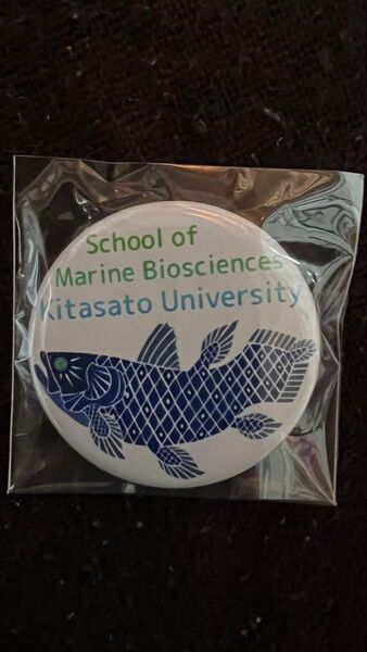 北里大学 缶バッチ 大学入試 レア お守りに