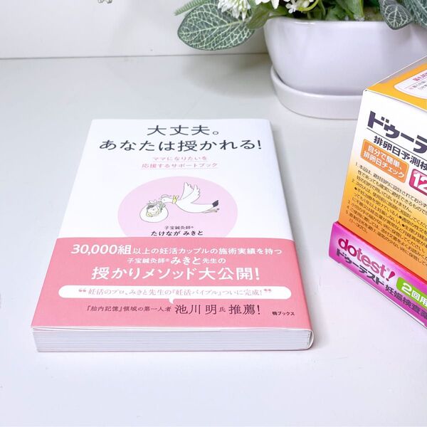 【おまけ付き】大丈夫。あなたは授かれる! ママになりたいを応援するサポートブック